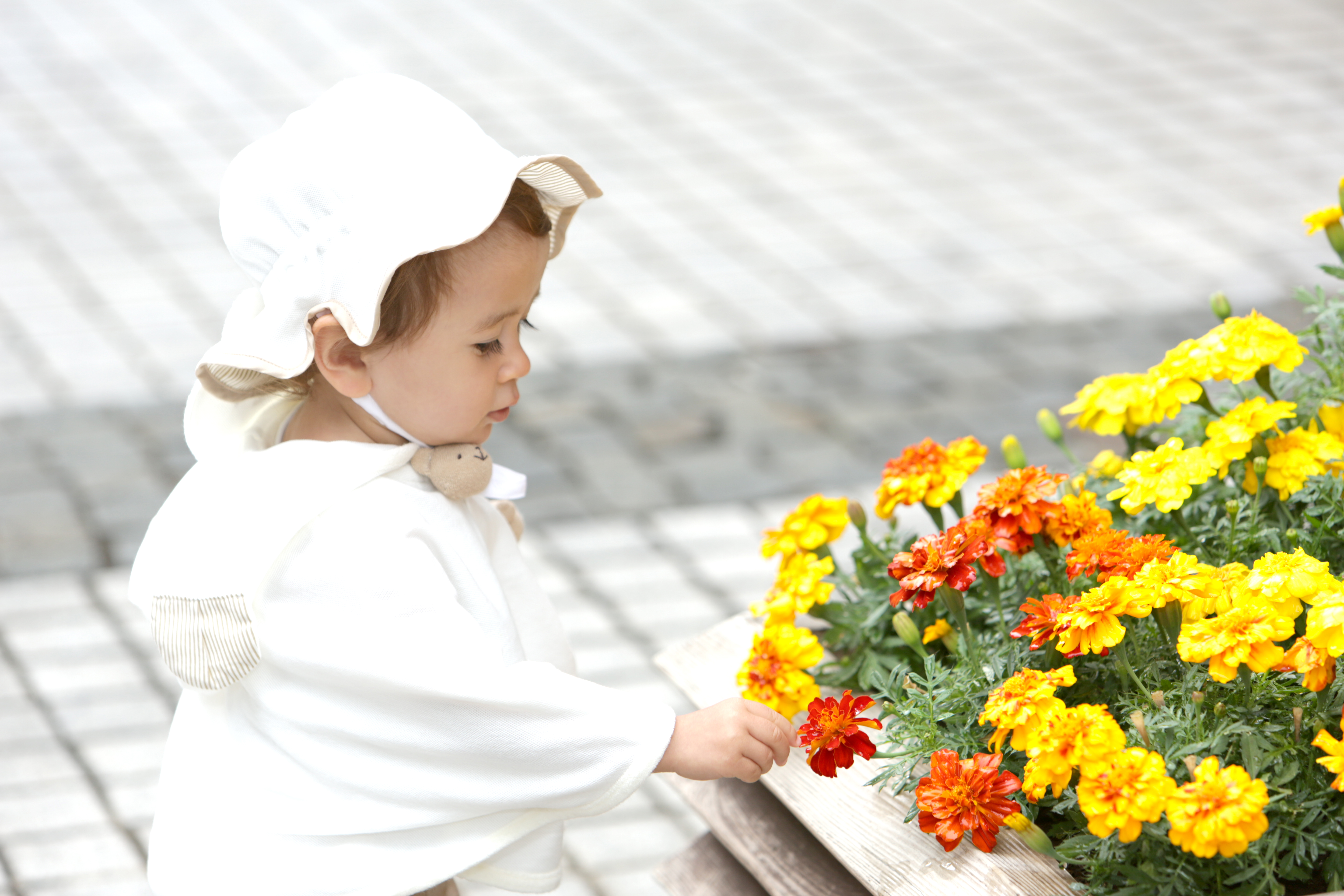 出産祝いにお花を マナーと喜ばれるフラワーギフト5選 喜ばれる出産祝いの情報サイト ベビギフ