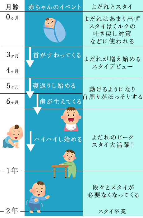 赤ちゃんの成長とスタイの関係について示した年表