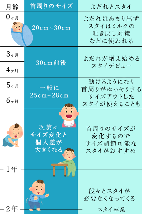 赤ちゃんの成長に伴う首周りサイズの変化について示した年表